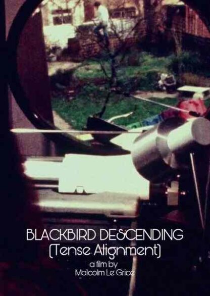 Blackbird Descending (1977) Starring on DVD