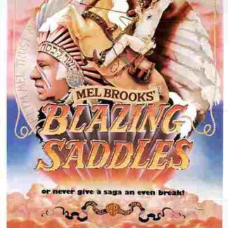 Blazing Saddles (1974) Starring Cleavon Little on DVD