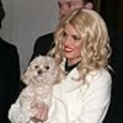 Blonde Ambition (2007) Starring Jessica Simpson on DVD - Image 4