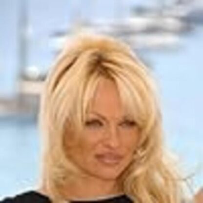 Blonde and Blonder (2008) Starring Pamela Anderson on DVD - Image 4