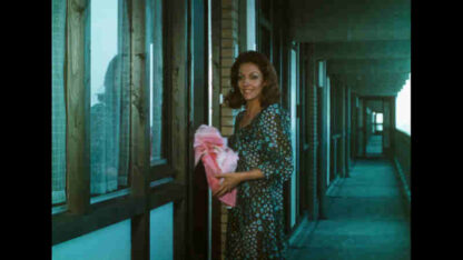 Blue Movie (1971) with English Subtitles on DVD - Image 3