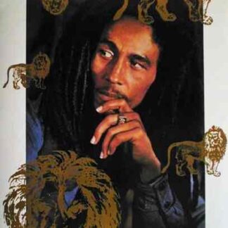 Bob Marley Live in Concert (1998) Starring  on DVD