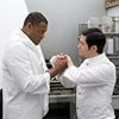 Bobby (2006) Starring Harry Belafonte on DVD - Image 4