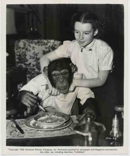 Bonzo Goes to College (1952) Starring Maureen O'Sullivan on DVD - Image 2