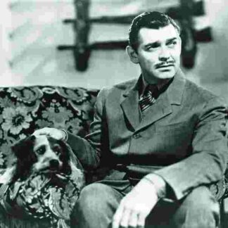 Boom Town (1940) Starring Clark Gable on DVD