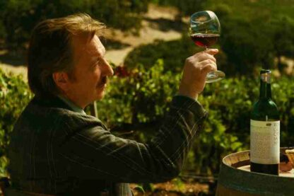 Bottle Shock (2008) Starring Chris Pine on DVD - Image 3