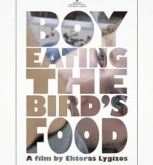 Boy Eating the Bird's Food (2012) DVD