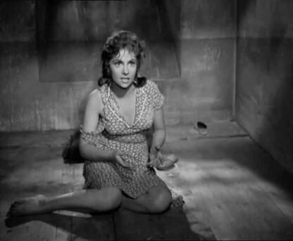 Bread, Love and Dreams (1953) with English Subtitles on DVD - Image 2