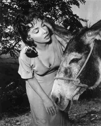 Bread, Love and Dreams (1953) with English Subtitles on DVD - Image 3