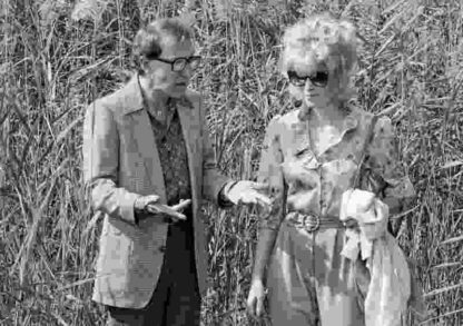 Broadway Danny Rose (1984) Starring Woody Allen on DVD - Image 3