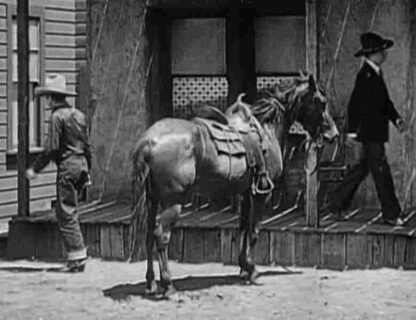 Broadway to Cheyenne (1932) Starring Rex Bell on DVD - Image 4