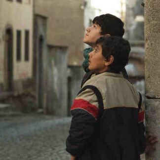 Broken Mussels (2011) with English Subtitles on DVD