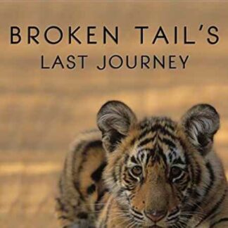 Broken Tail (2010) Starring on DVD