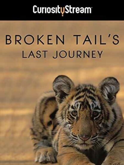 Broken Tail (2010) Starring  on DVD