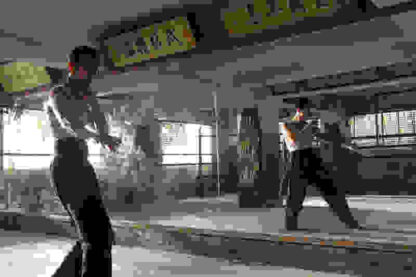 Bruce Lee, My Brother (2010) with English Subtitles on DVD