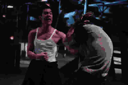 Bruce Lee, My Brother (2010) with English Subtitles on DVD - Image 2