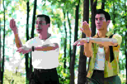 Bruce Lee, My Brother (2010) with English Subtitles on DVD - Image 3