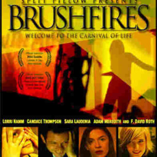 Brushfires (2004) Starring Lorri Hamm on DVD