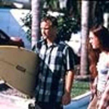 Bully (2001) Starring Brad Renfro on DVD - Image 2
