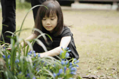 Bunny Drop (2011) with English Subtitles on DVD - Image 3