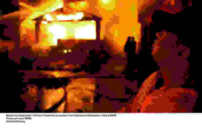 Burn (2012) Starring Donald Austin on DVD - Image 2