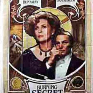 Burning Secret (1988) Starring David Eberts on DVD