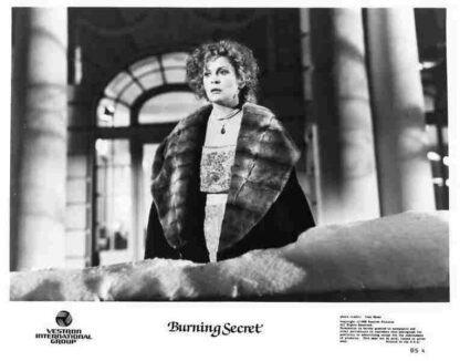 Burning Secret (1988) Starring David Eberts on DVD - Image 3