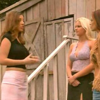 Busty Cops 2 (2006) Starring Nikki Nova on DVD