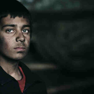 Buzkashi Boys (2012) with English Subtitles on DVD