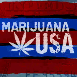 CNBC Documentaries Marijuana USA (2010) Starring Trish Regan on DVD