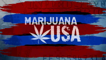 CNBC Documentaries Marijuana USA (2010) Starring Trish Regan on DVD