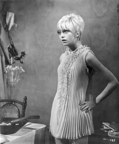 Cactus Flower (1969) Starring Walter Matthau on DVD - Image 3