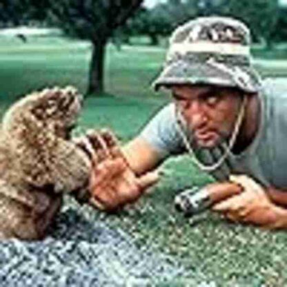 Caddyshack (1980) Starring Chevy Chase on DVD - Image 2