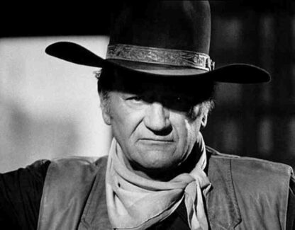 Cahill U.S. Marshal (1973) Starring John Wayne on DVD - Image 2
