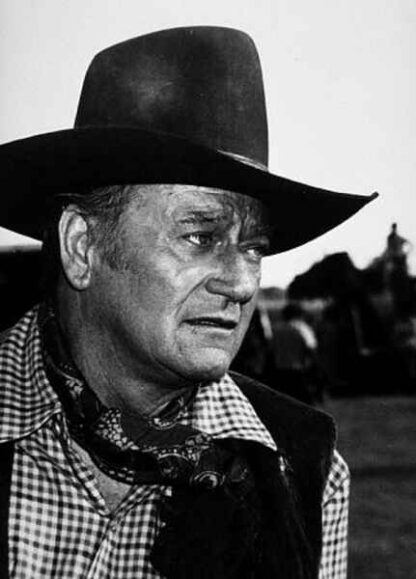 Cahill U.S. Marshal (1973) Starring John Wayne on DVD - Image 3