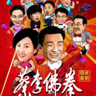 Cai li fu quan (2011) with English Subtitles on DVD