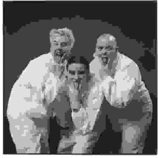 Carpet Cleaners (2002) Starring Nikkhi Kast on DVD