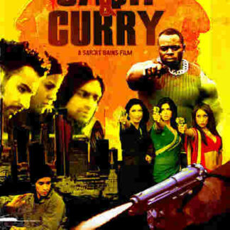 Cash and Curry (2008) Starring Ameet Chana on DVD