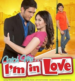 Catch Me... I'm in Love (2011) DVD