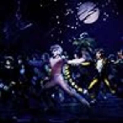 Cats (1998) with English Subtitles on DVD - Image 2
