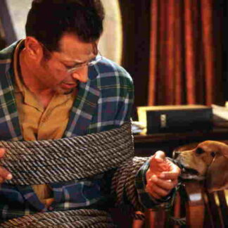 Cats & Dogs (2001) Starring Alec Baldwin on DVD
