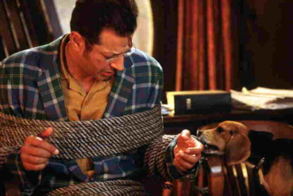Cats & Dogs (2001) Starring Alec Baldwin on DVD