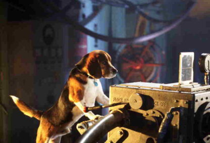Cats & Dogs (2001) Starring Alec Baldwin on DVD - Image 4