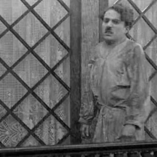Caught in the Rain (1914) with English Subtitles on DVD