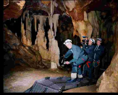 Cave of Forgotten Dreams (2010) Starring Werner Herzog on DVD - Image 2