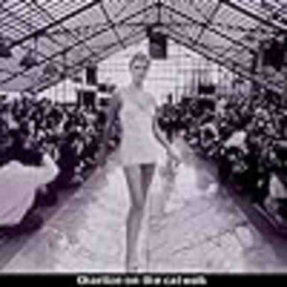 Celebrity (1998) Starring Greg Mottola on DVD