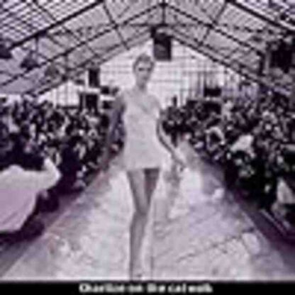 Celebrity (1998) Starring Greg Mottola on DVD