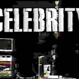 Celebrity (TV Series 1984–1984) (1984) Starring Ned Beatty on DVD
