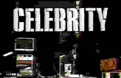 Celebrity (TV Series 1984–1984) (1984) Starring Ned Beatty on DVD