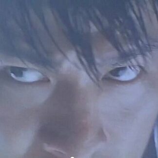Century of the Dragon (1999) with English Subtitles on DVD